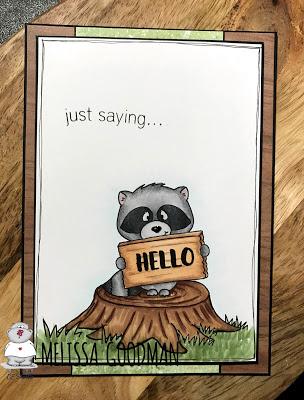 Racoon